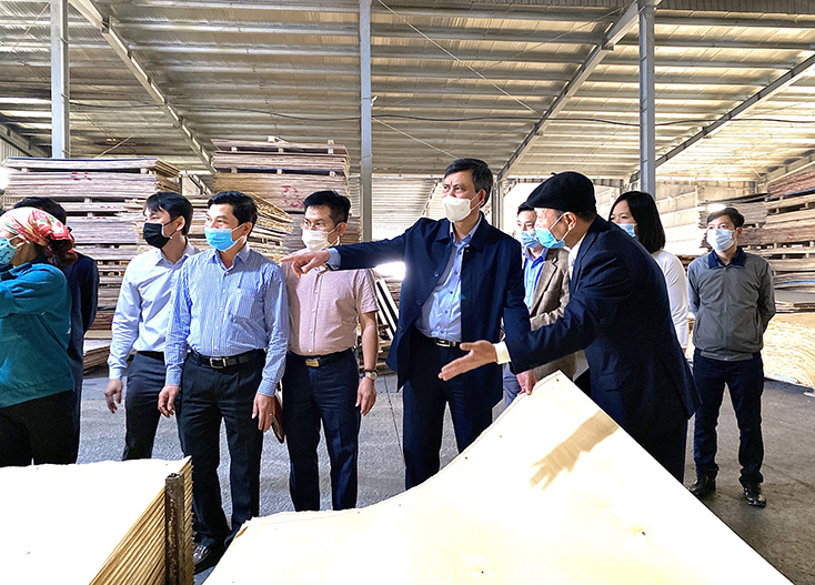 Xây dựng kế hoạch phát triển kinh tế-xã hội và dự toán ngân sách nhà nước năm 2022