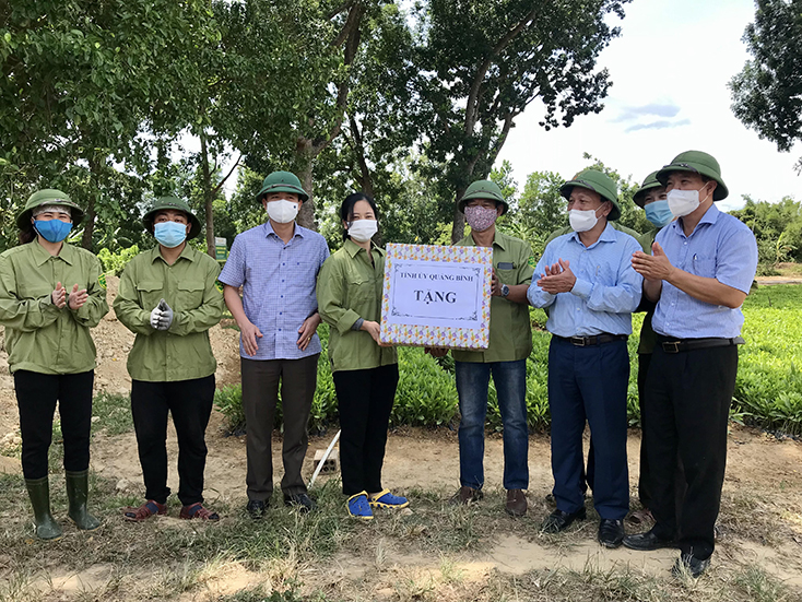Đồng chí Phó Bí thư Thường trực Tỉnh ủy kiểm tra tình hình sản xuất, kinh doanh tại Công ty TNHH MTV Lâm Công nghiệp Long Đại