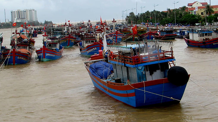 Cấp 354 giấy chứng nhận an toàn thực phẩm đối với tàu cá