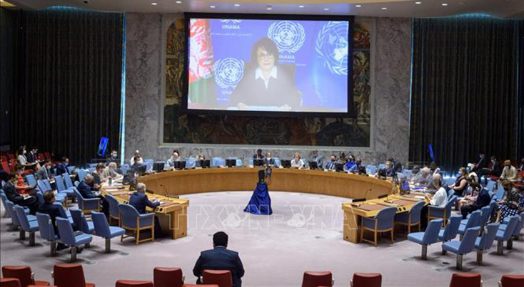 Tình hình Afghanistan: HĐBA LHQ kêu gọi đàm phán thành lập chính phủ mới