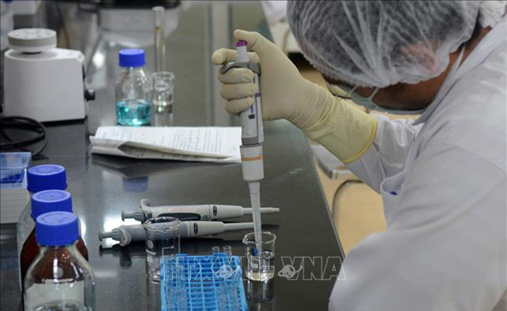 Ấn Độ có thể thu được 11 tỷ USD từ cung cấp vaccine ngừa COVID-19
