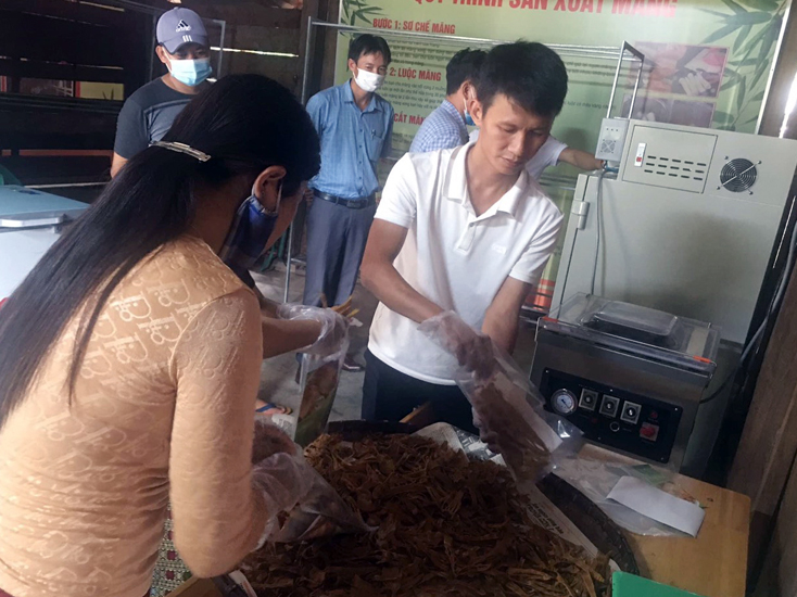Phát triển nông nghiệp theo hướng chuỗi giá trị