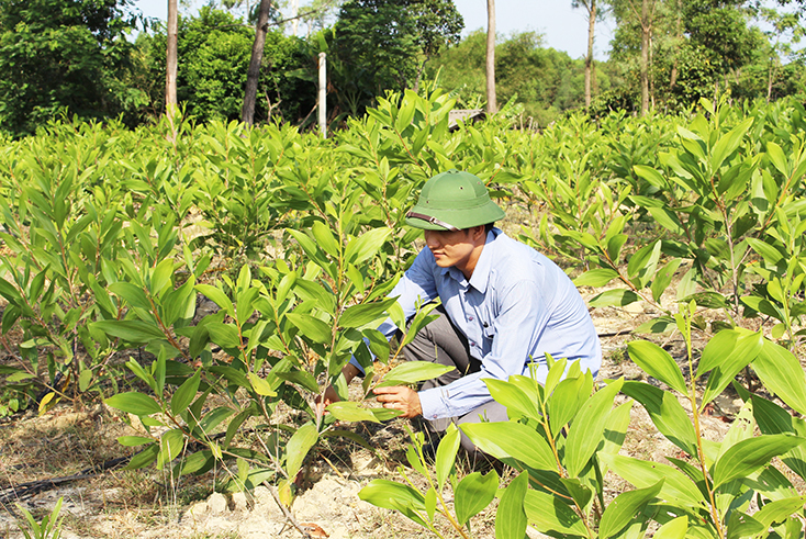 Chuyện quản lý: "Cán bộ nào, phong trào ấy…"