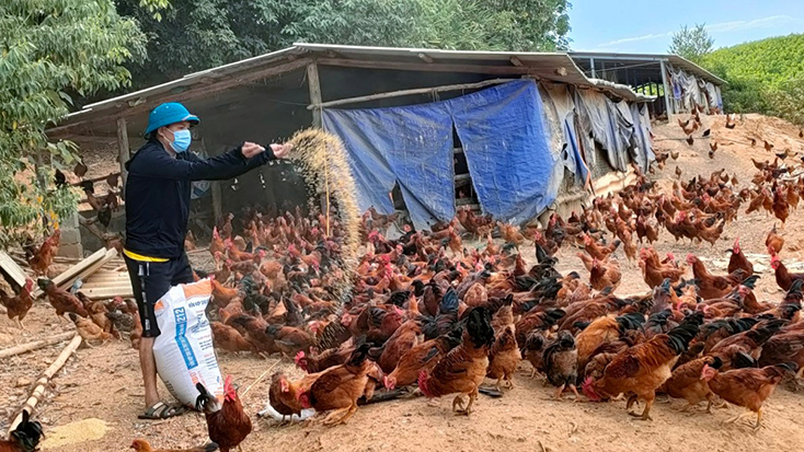 Thanh niên Lệ Thủy thi đua phát triển kinh tế