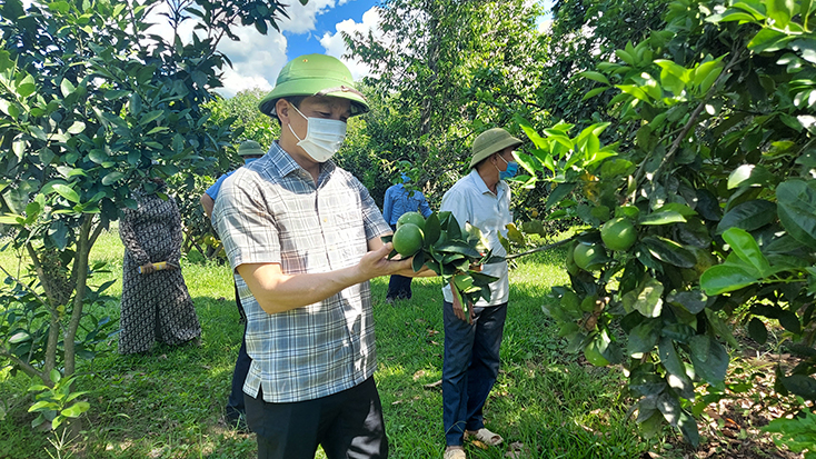 "Cầu nối" vững chắc giữa ý Đảng, lòng dân
