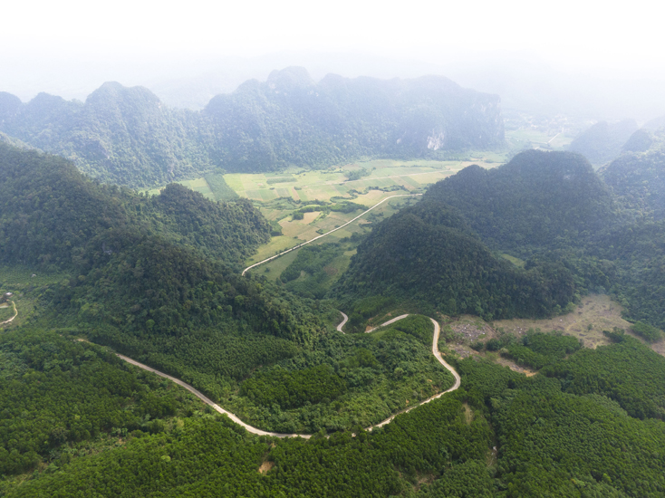 Minh Hóa: Trồng rừng cho thế hệ mai sau