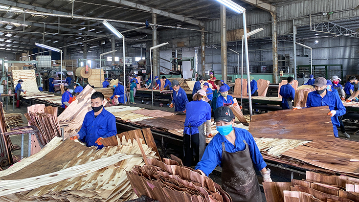 Cục Thuế tỉnh linh động thực hiện nhiệm vụ thu ngân sách