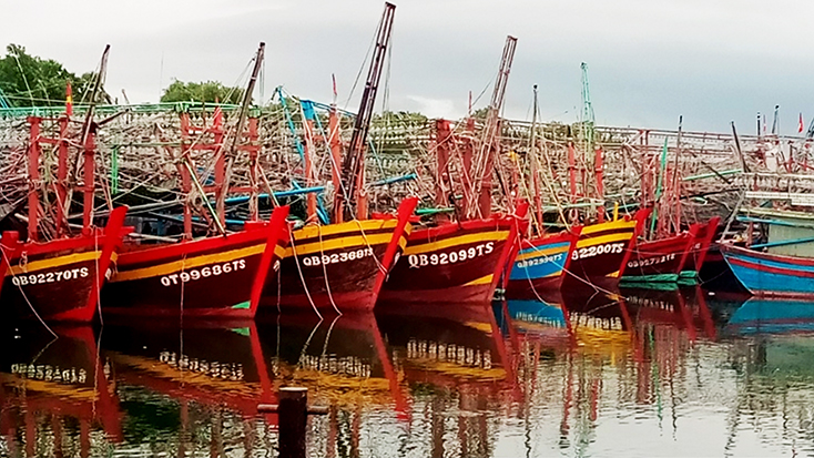 Siết chặt các biện pháp phòng, chống dịch Covid-19 tại cảng cá, khu neo đậu