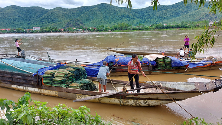 Sẵn sàng ứng phó với cơn bão số 5