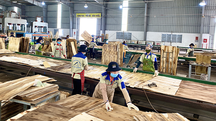 Hỗ trợ doanh nghiệp, người nộp thuế phòng, chống dịch Covid-19