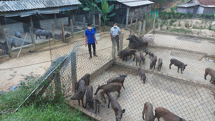 Đảng bộ xã Minh Hóa: Đưa nghị quyết vào cuộc sống bằng những việc làm cụ thể