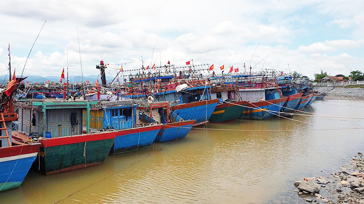Gần 90% tàu cá dài từ 15m trở lên trong toàn tỉnh đã lắp đặt thiết bị giám sát hành trình