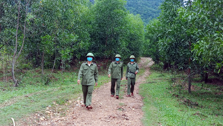 Giữ màu xanh của tương lai