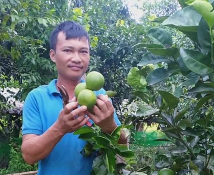 Gương sáng nông dân sản xuất, kinh doanh giỏi