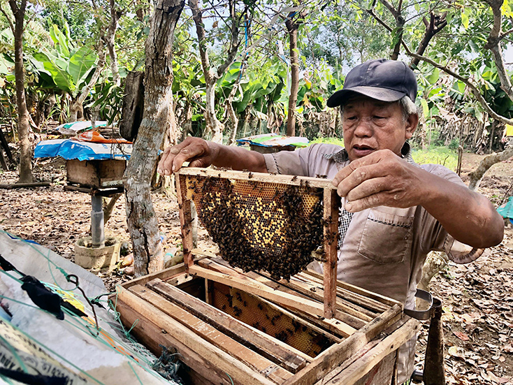 Quảng Ninh: Dư nợ ủy thác qua các tổ chức chính trị-xã hội đạt gần 343 tỷ đồng