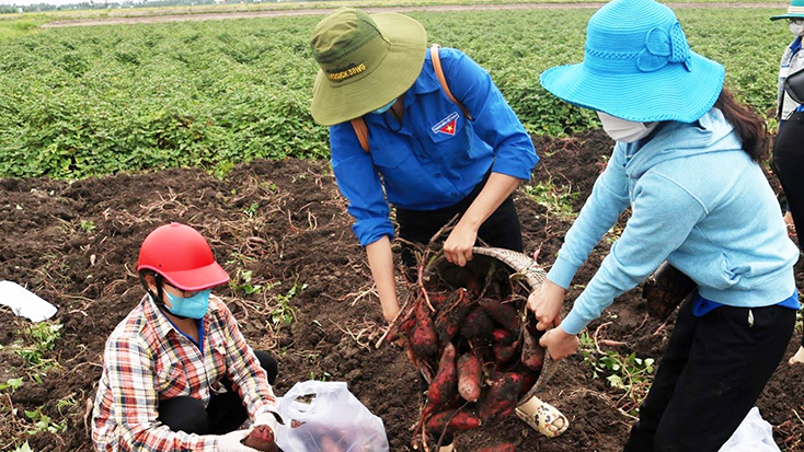 Thúc đẩy sản xuất, tiêu thụ và xuất khẩu nông sản trong bối cảnh phòng, chống dịch