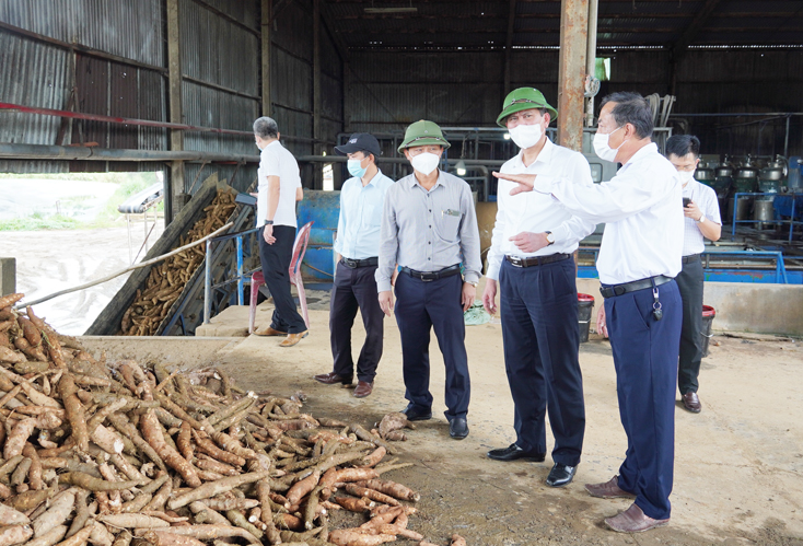 Đồng chí Chủ tịch UBND tỉnh kiểm tra công tác phòng, chống dịch và phục hồi sản xuất