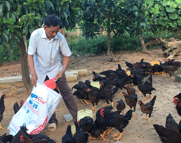 Phát huy tinh thần "tuổi cao, gương sáng"