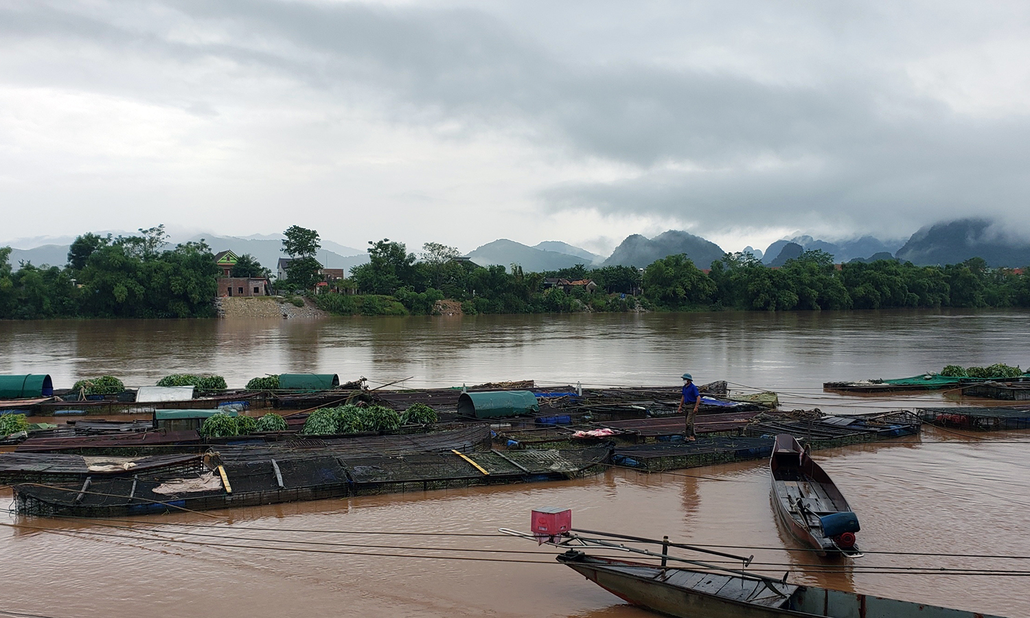 Nông sản trong mùa dịch
