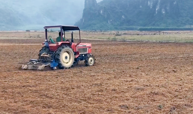 Bố Trạch: Giảm chi phí đầu vào trong sản xuất lúa đông-xuân