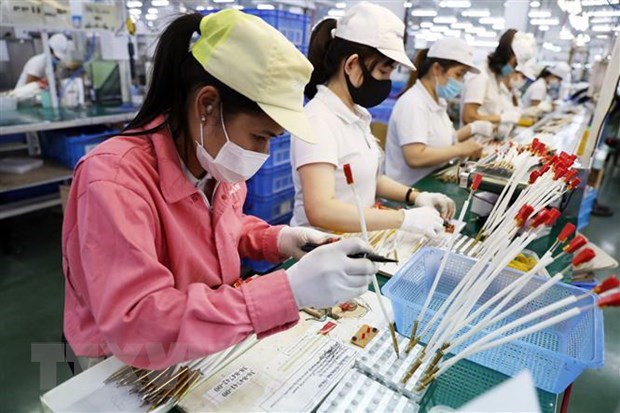 Tập trung 11 nhóm vấn đề trong sáng kiến chung Việt Nam-Nhật Bản