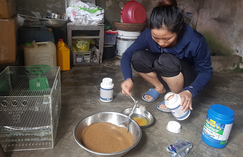 Người trẻ khởi nghiệp