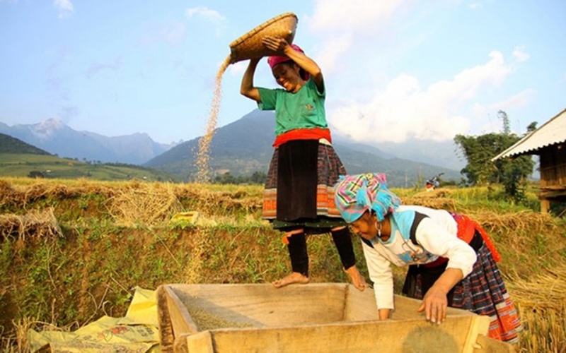 Trước 31-12-2025: Hoàn thành bố trí tuyển dụng đội viên Đề án 500 trí thức trẻ vào biên chế