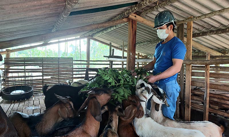 Khởi nghiệp ở nông thôn