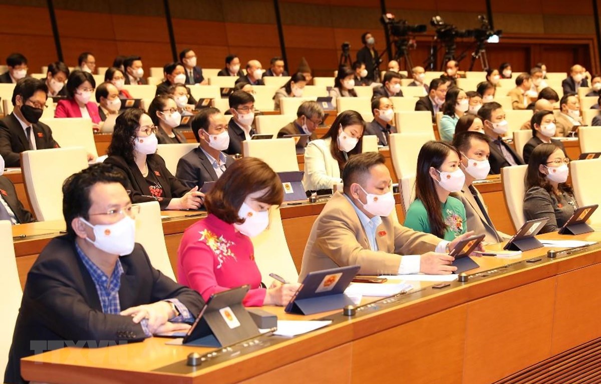 Đại biểu Quốc hội lo ngại bong bóng chứng khoán, bất động sản