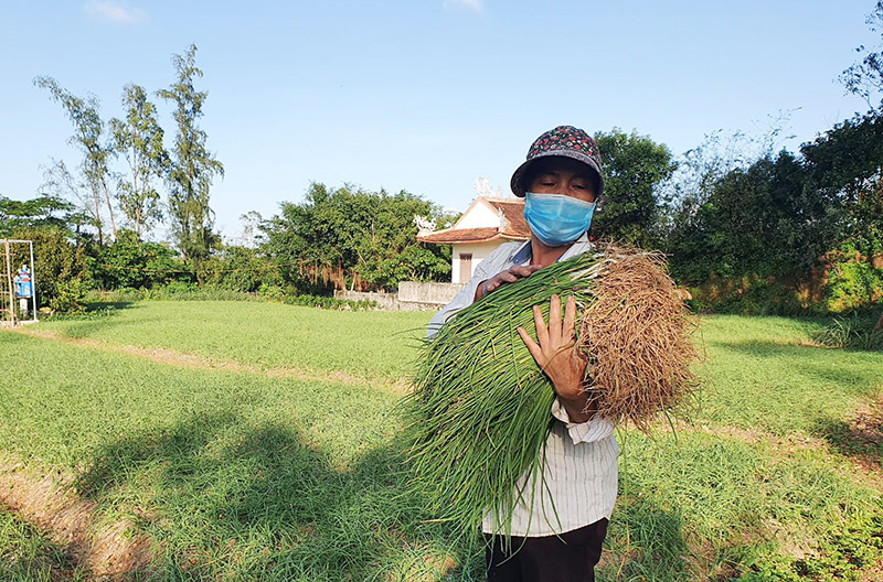 Nén Hoa Thuỷ và hành trình vươn xa