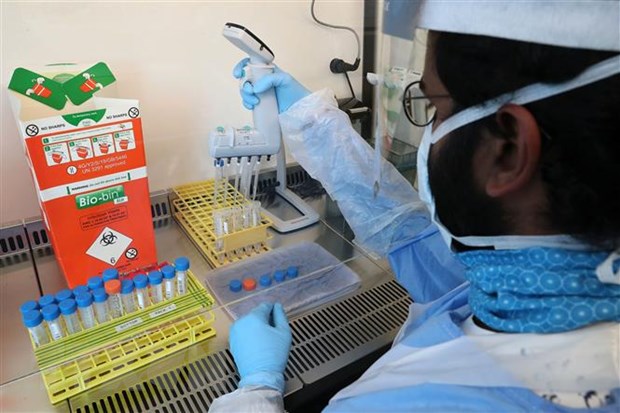 Một biến thể mới của virus SARS-CoV-2 mang số lượng đột biến "rất cao"