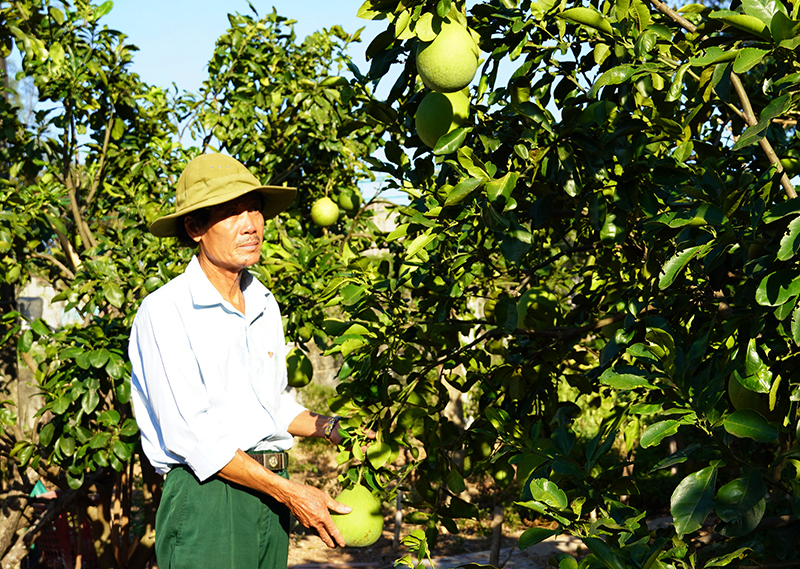 Cho đất đồi "đơm hoa"