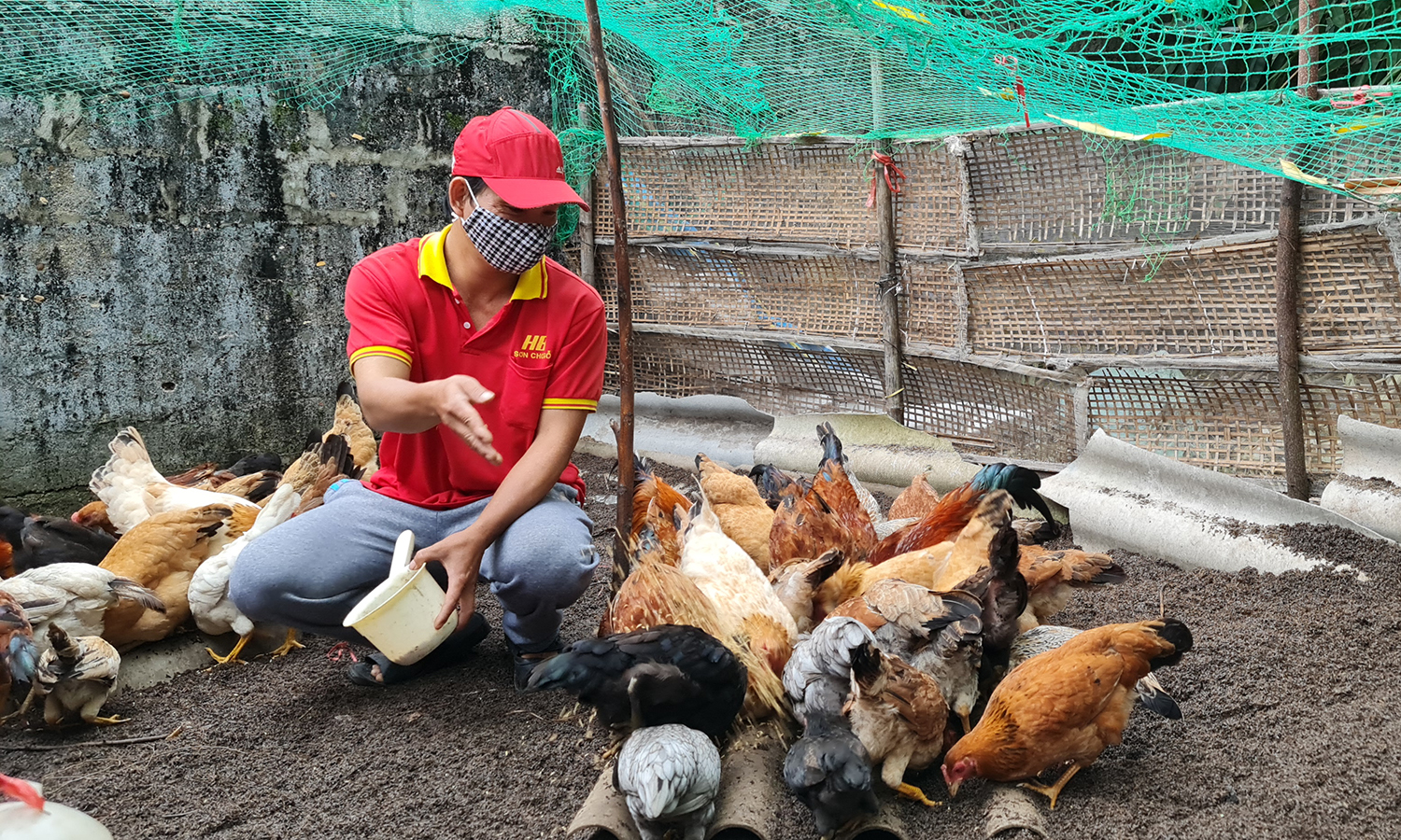 Chủ động tái đàn, sẵn sàng thị trường Tết