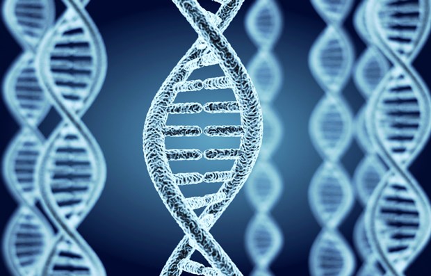 Xây dựng thành công cơ sở dữ liệu gene vi sinh vật toàn cầu