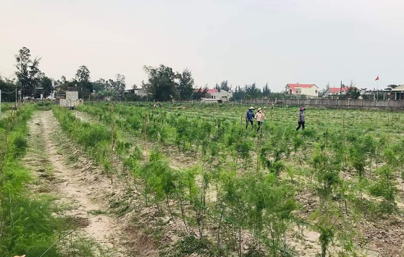 Vượt thách thức, phát triển kinh tế-xã hội