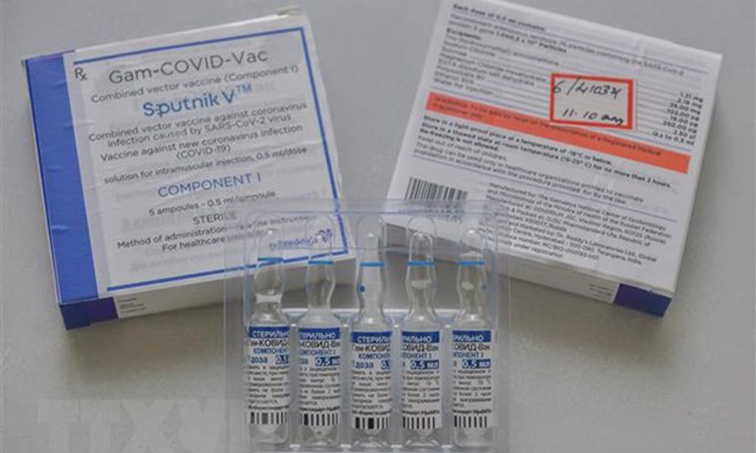 Nga sắp lưu hành vaccine ngừa COVID-19 Sputnik V dạng xịt mũi