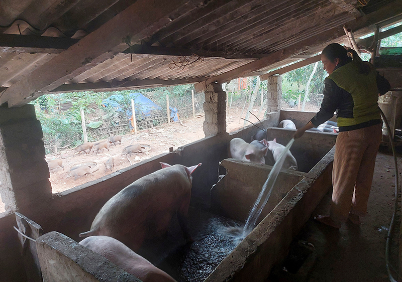 Người phụ nữ làm giàu trên vùng đất biên giới