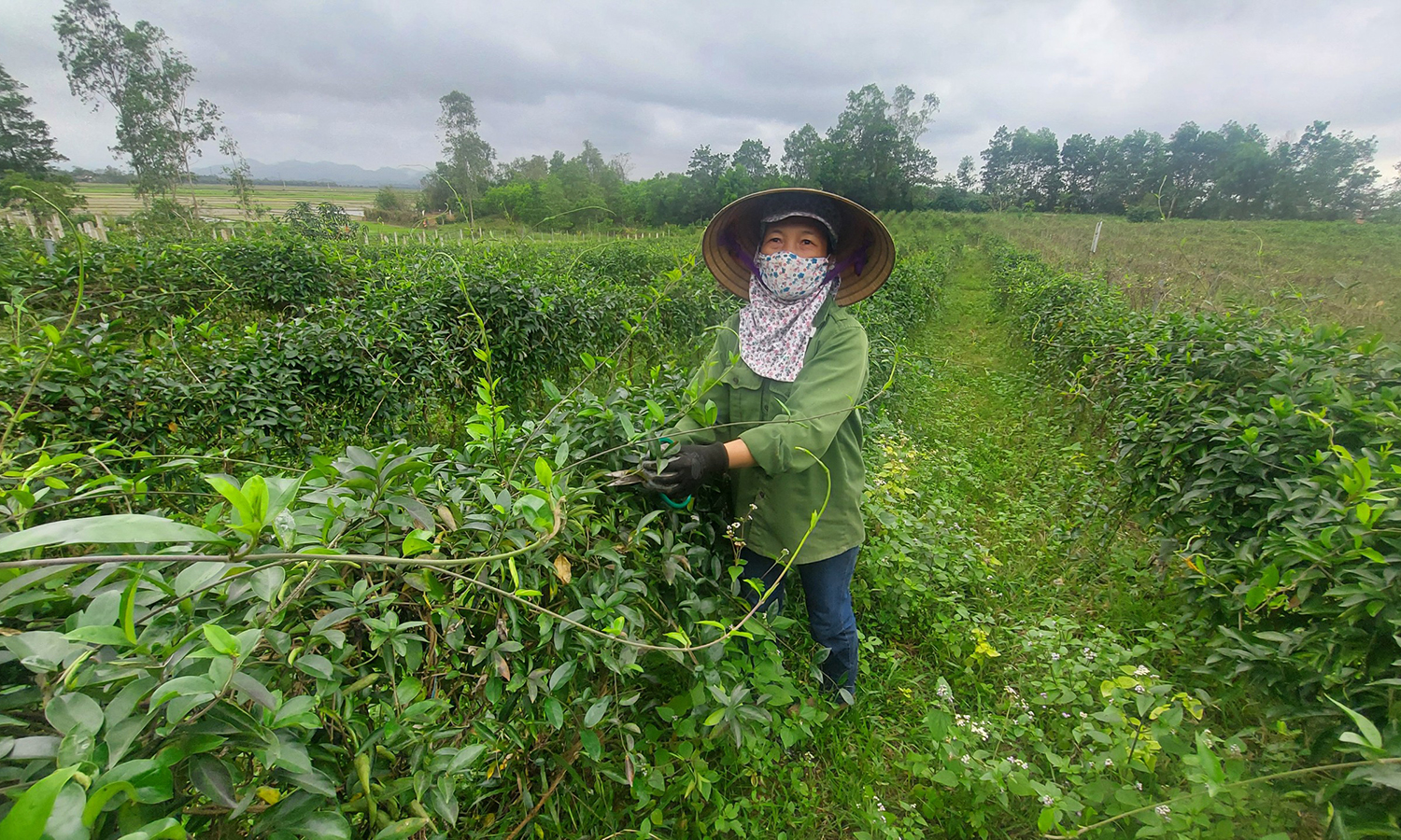 "Điểm tựa" cho nông dân phát triển sản xuất