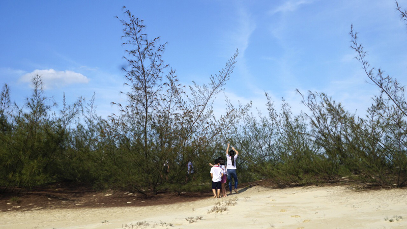Xa rồi khói bếp bay ngang mái…