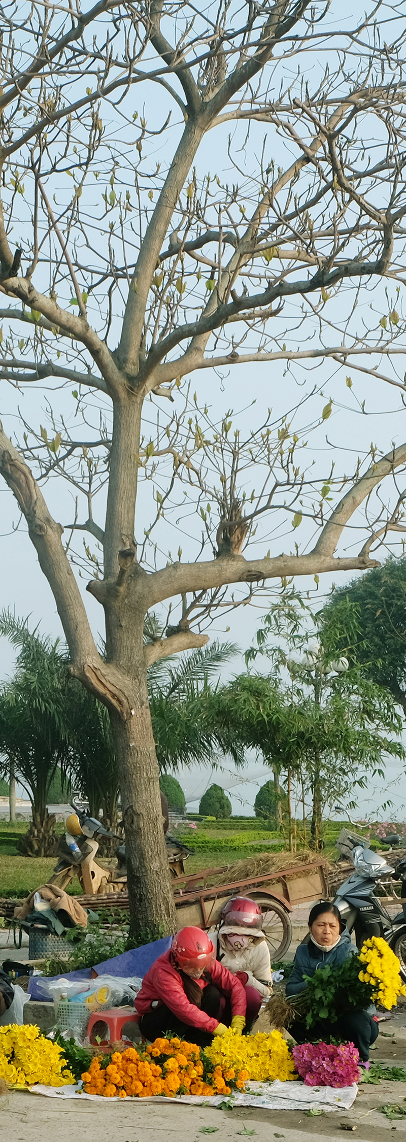Thương nhớ giêng hai...