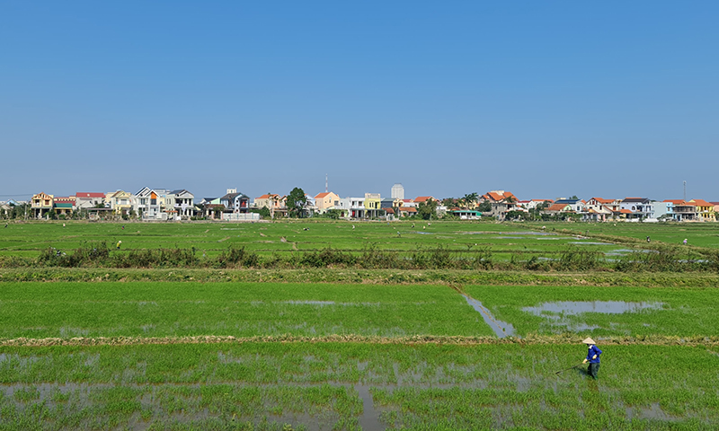 Tập trung sản xuất vụ đông-xuân