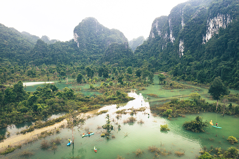 "Để cho thiên nhiên hành lang tự vận hành..."