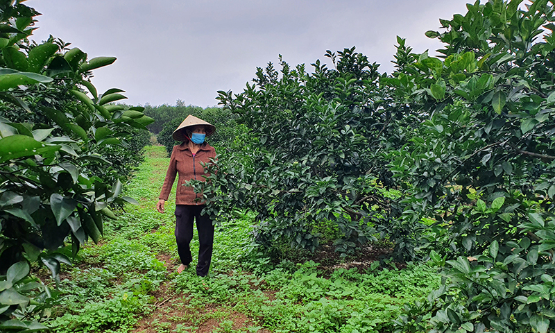 Bài ca vỡ đất…
