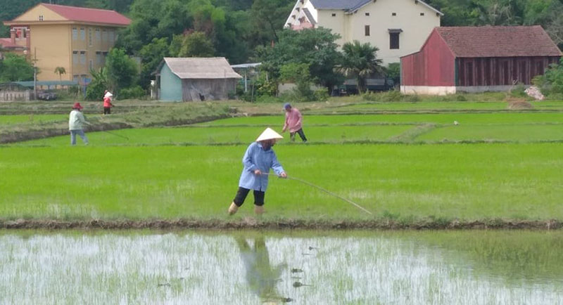 Nông dân Minh Hoá sản xuất đầu năm