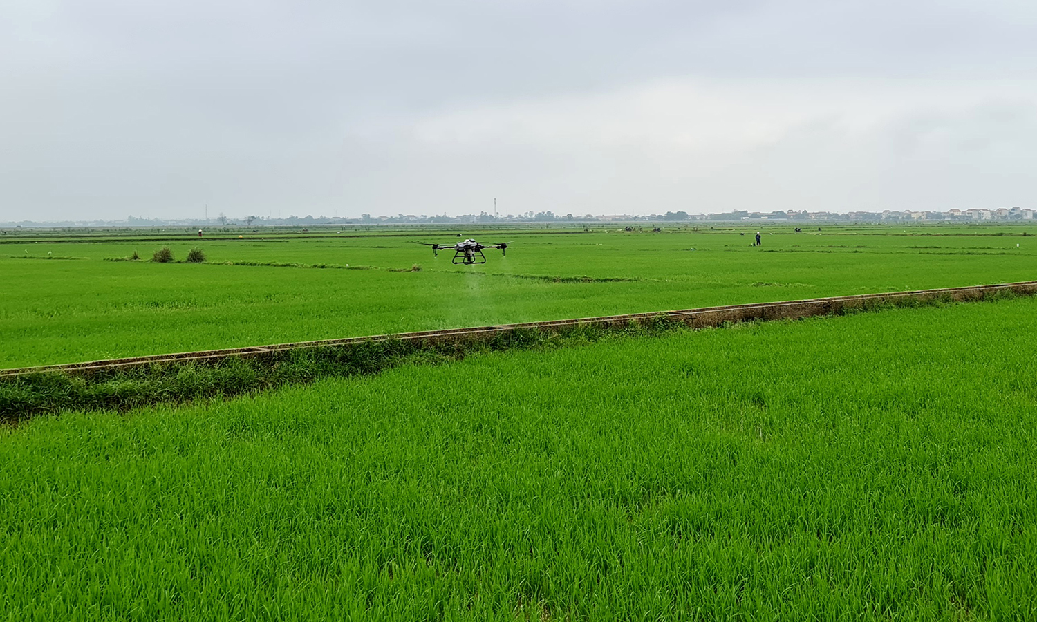 Cho vụ mùa bội thu