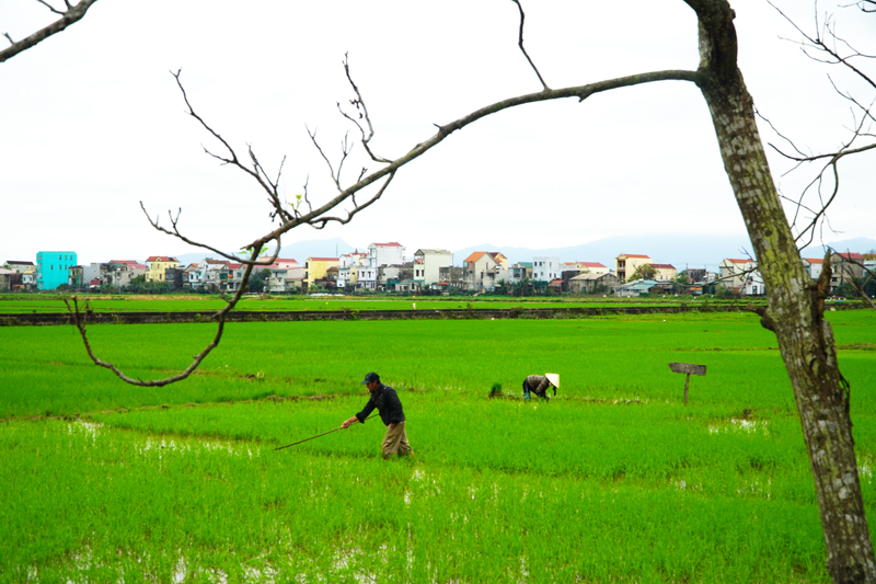 Quảng Bình muôn vẻ
