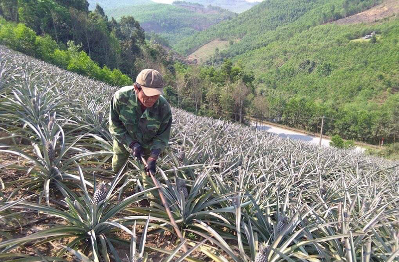 Khi cựu chiến binh giúp nhau giảm nghèo, làm kinh tế giỏi