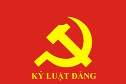 Ban Bí thư xem xét, thi hành kỷ luật một số đảng viên vi phạm
