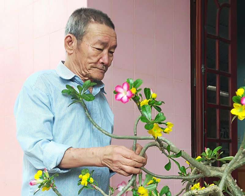 Ngọn đèn "mở biển"