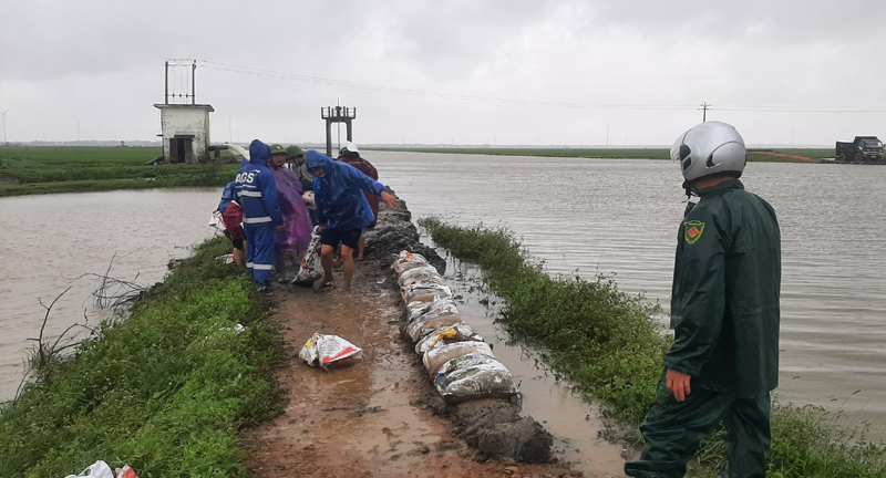 Quảng Ninh: Nhiều diện tích lúa và rau màu bị ngập do mưa lớn
